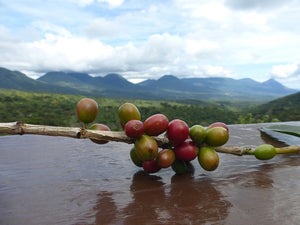 Central America