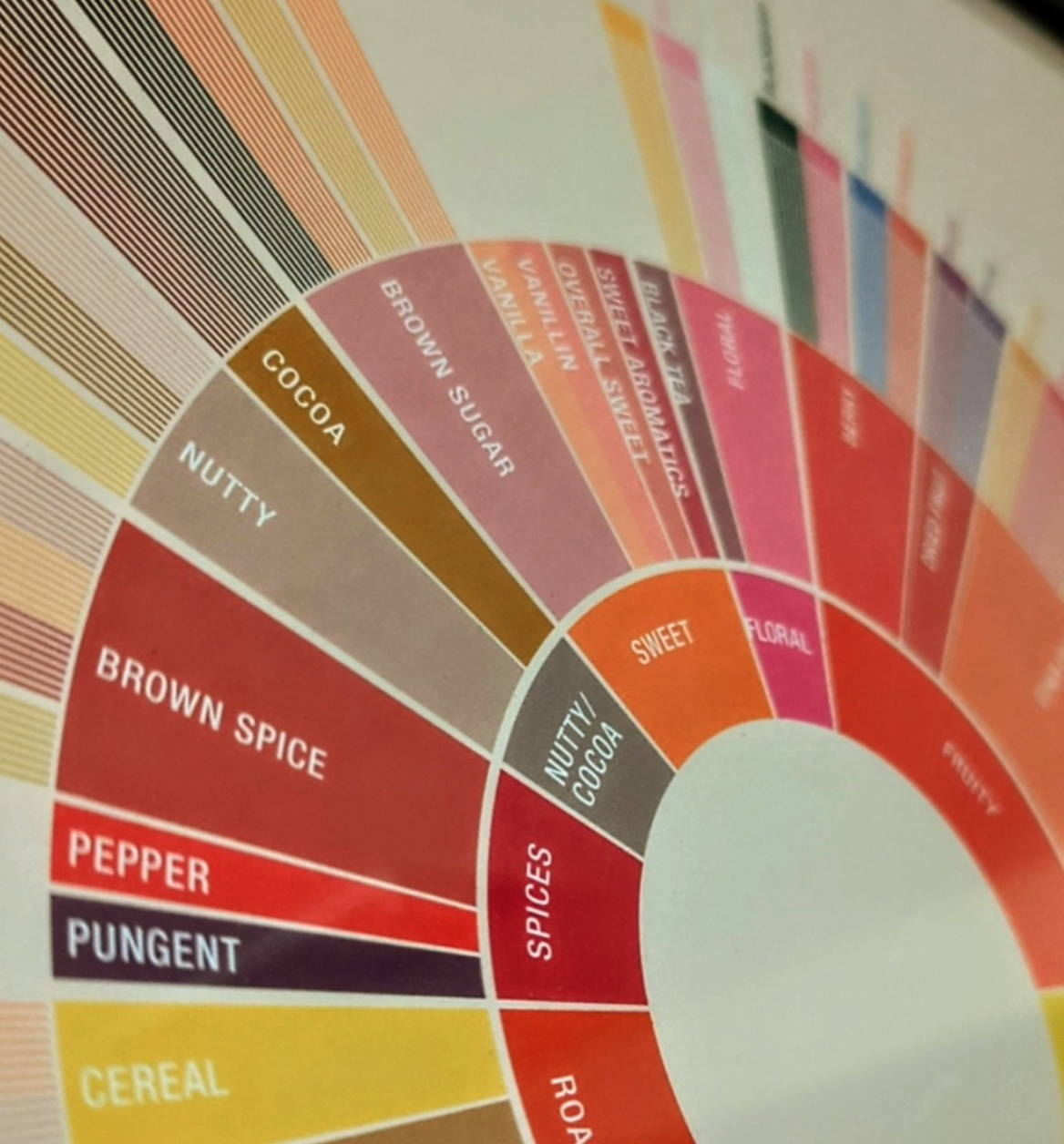 HILL TREE ROASTERY COFFEE TASTING NOTES WHEEL
