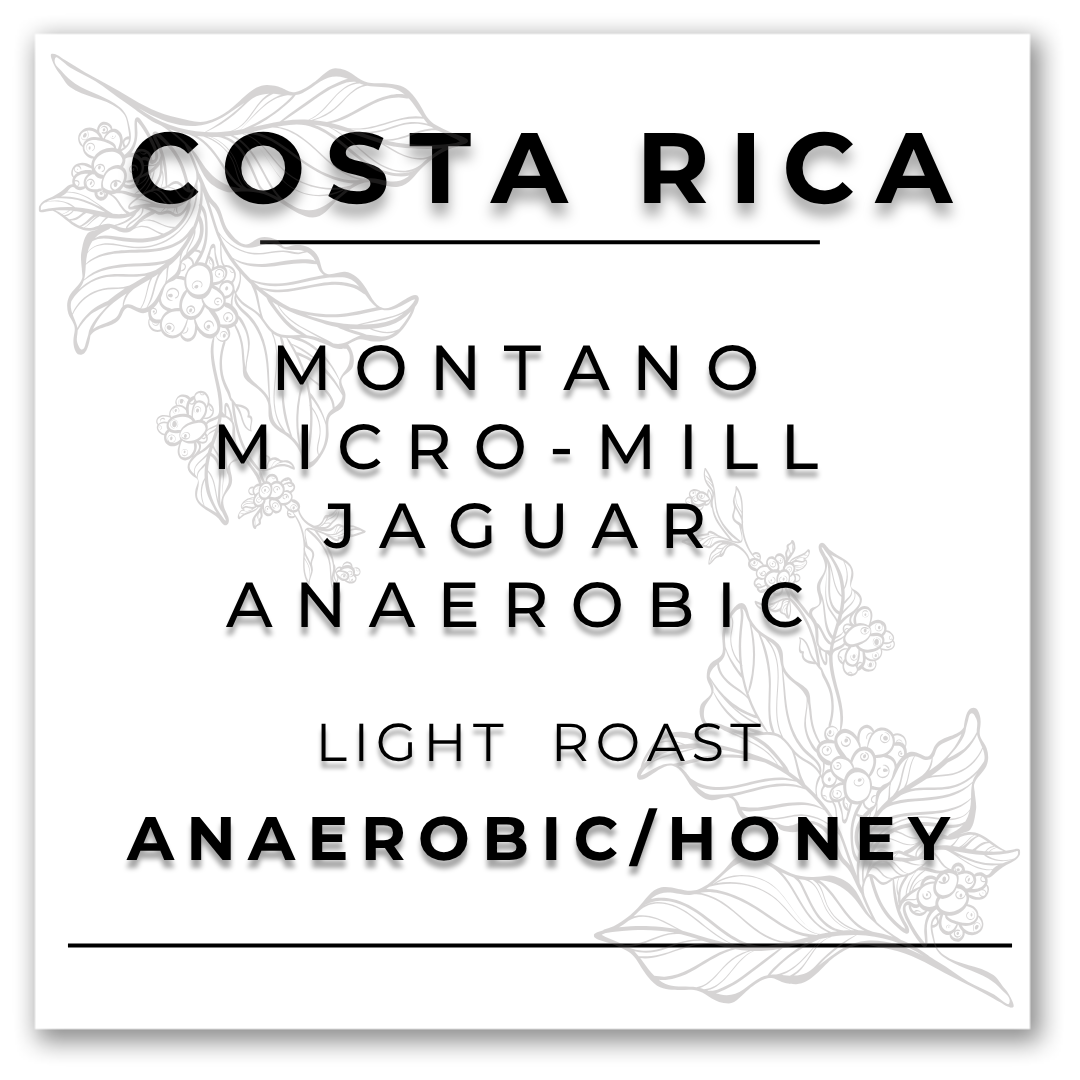 HILL TREE ROASTERY COSTA RICA MONTANO MICRO-MILL JAGUAR ANAEROBIC COFFEE