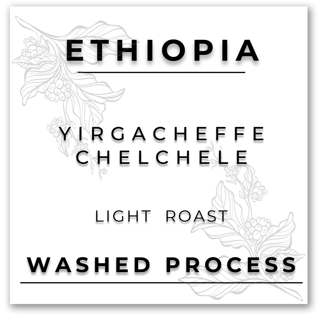 HILL TREE ROASTERY ETHIOPIA YIRGACHEFFE CHELCHELE G1 WASHED COFFEE