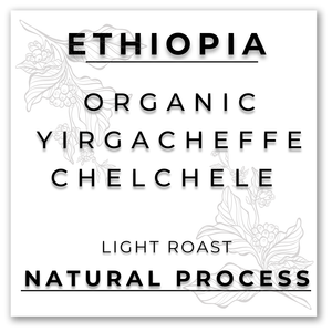 HILL TREE ROASTERYETHIOPIA ORGANIC YIRGACHEFFE CHELCHELE G2 NATURAL