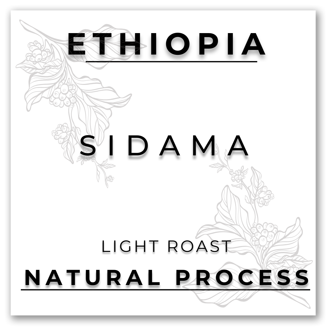 HILL TREE ROASTERY ETHIOPIA SIDAMA G4 NATURAL COFFEE