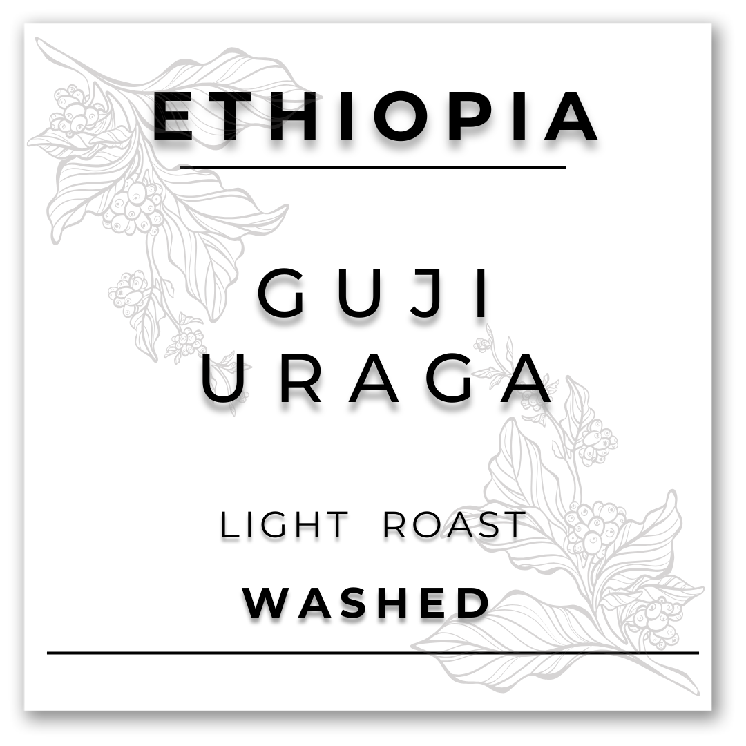 HILL TREE ROASTERY ETHIOPIA ORGANIC GUJI URAGA COFFEE