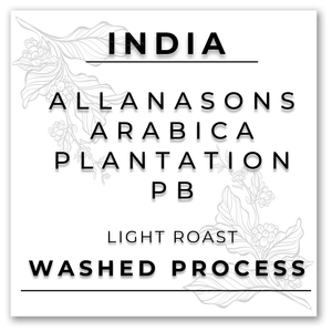 HILL TREE ROASTERY INDIA ALLANASONS ARABICA PLANTATION PEABERRY COFFEE