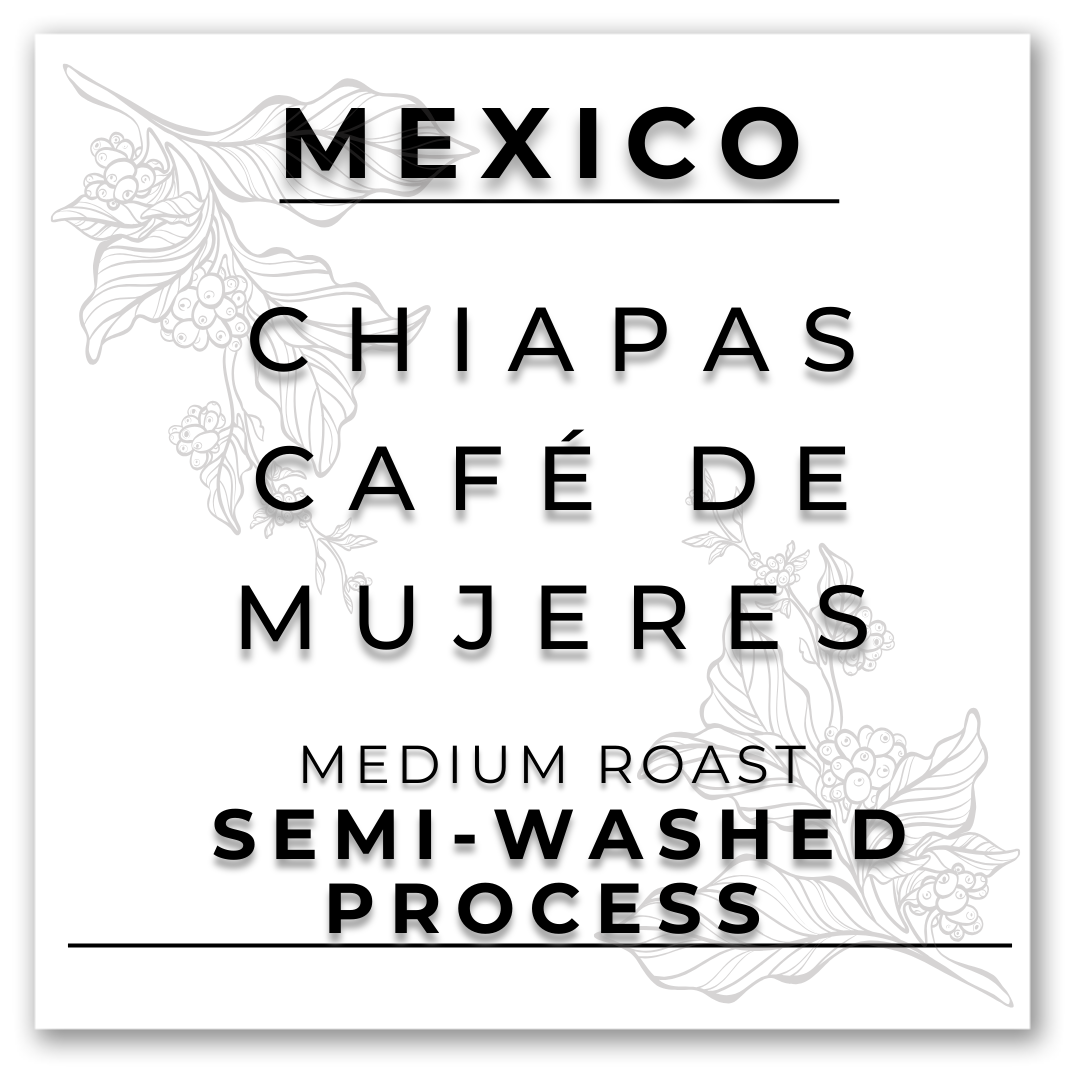 HILL TREE ROASTERY Mexico Chiapas Café De Mujeres Semi-Washed Coffee