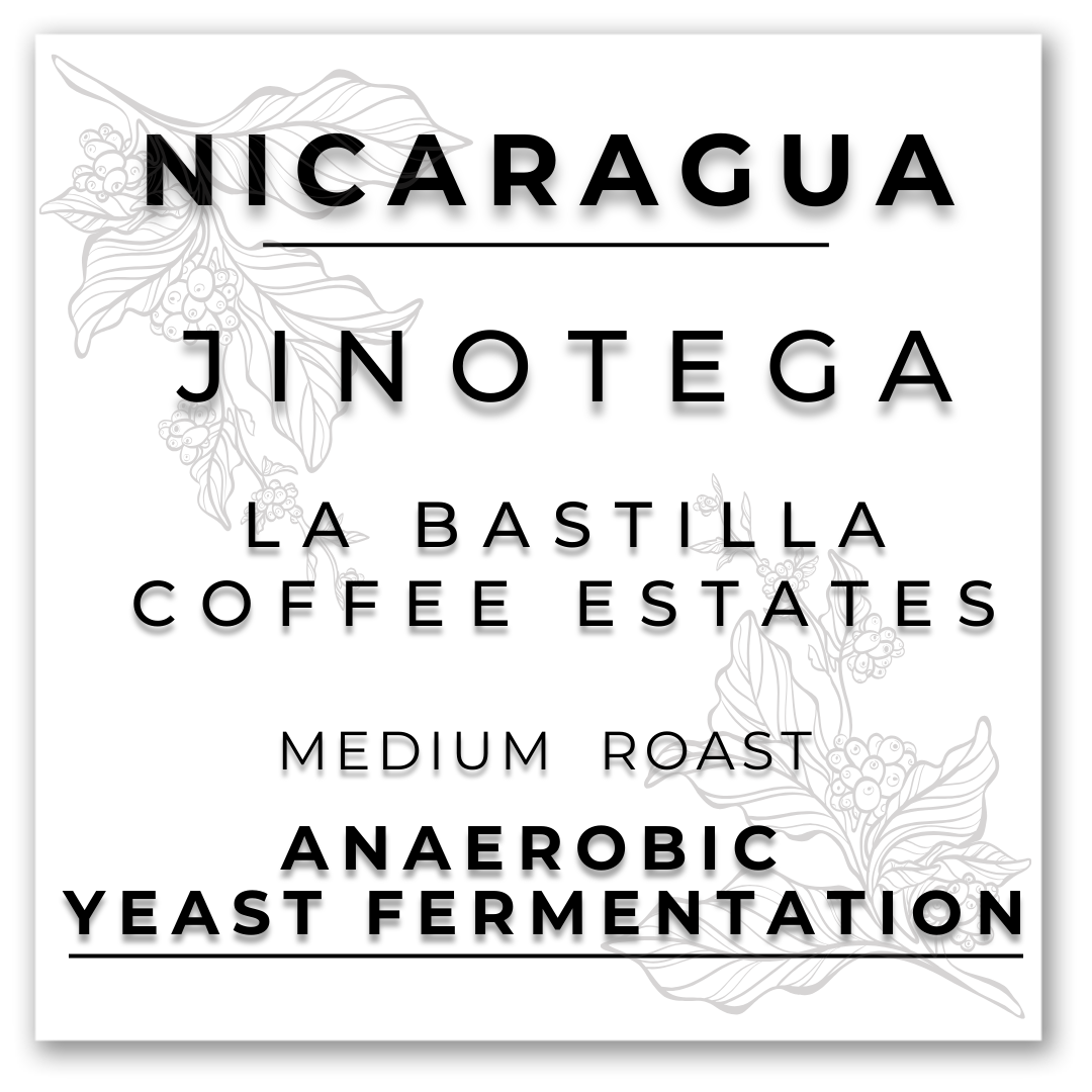 HILL TREE ROASTERY NICARAGUA LA BASTILLA ANAEROBIC YEAST FERMENTATION COFFEE