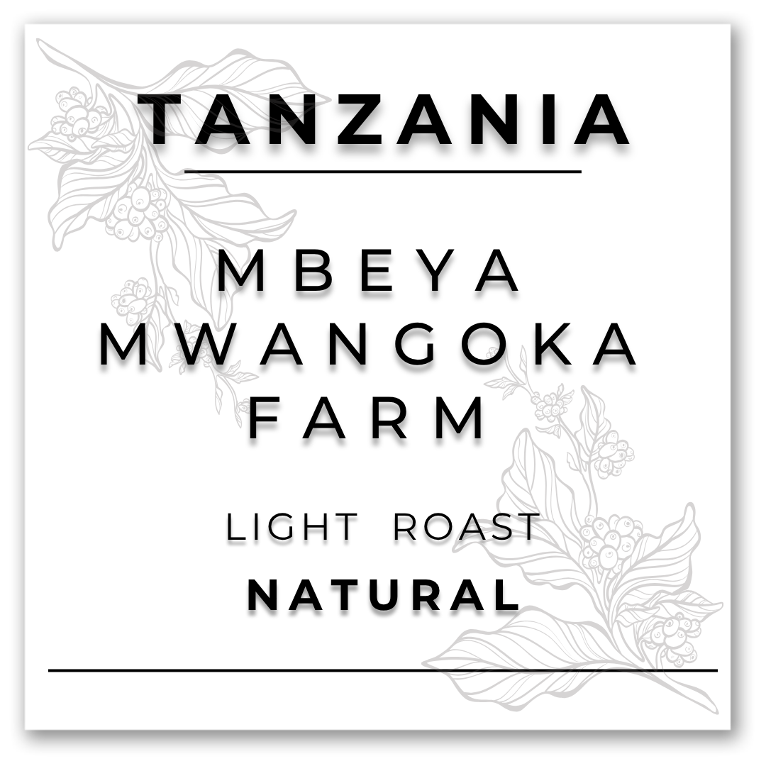 HILL TREE ROASTERY TANZANIA MBEYA MWANGOKA FARM NATURAL COFFEE